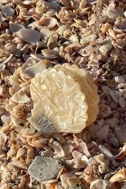 Monday Swimwear Essentials^Sanibel Shell Hair Clip - Ivory Swirl